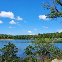 Photo of the lake with trees all around.